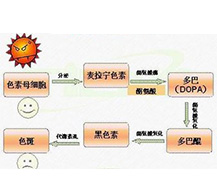 广州肤康皮肤病医院