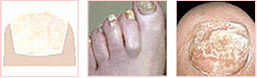 ݷƤҽԺ